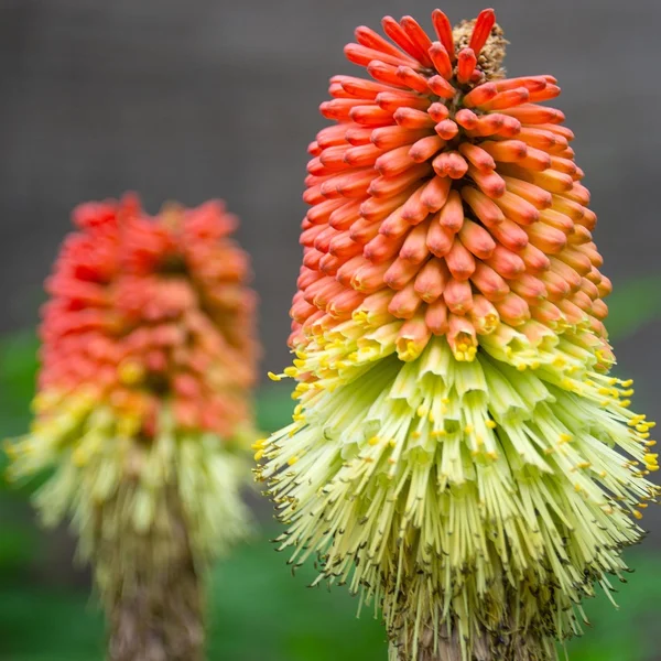 赌博网站棋牌游戏